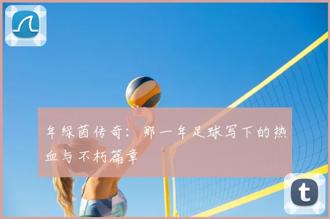 年绿茵传奇：那一年足球写下的热血与不朽篇章