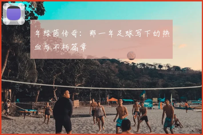 年绿茵传奇：那一年足球写下的热血与不朽篇章